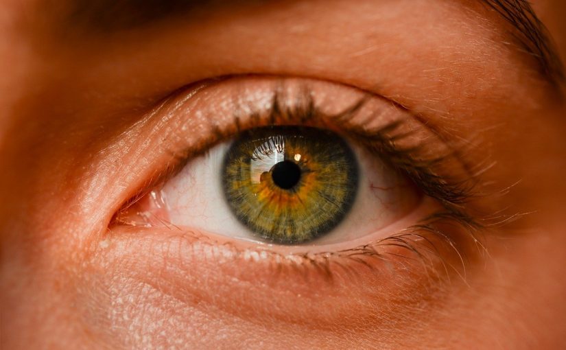 Oczy to wyrafinowany organ. To właśnie dzięki nim rozróżniamy.